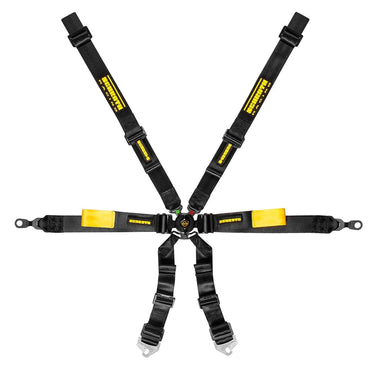Schroth Enduro 2x2 Porsche GT3 6 Point Racing Harness